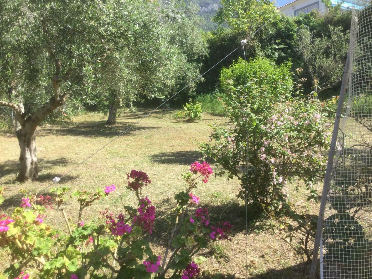 The Cabin, קיפריסיה מראה חיצוני תמונה